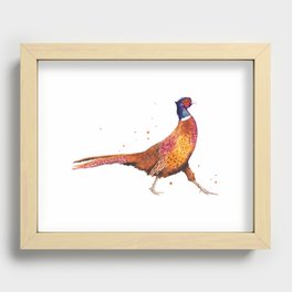 Pheasant Strut Recessed Framed Print