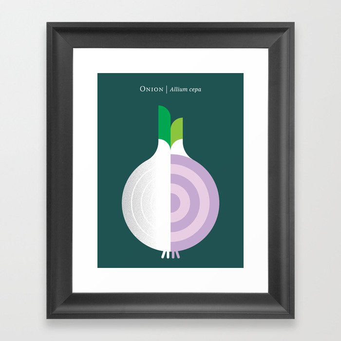 Vegetable: Onion Framed Art Print