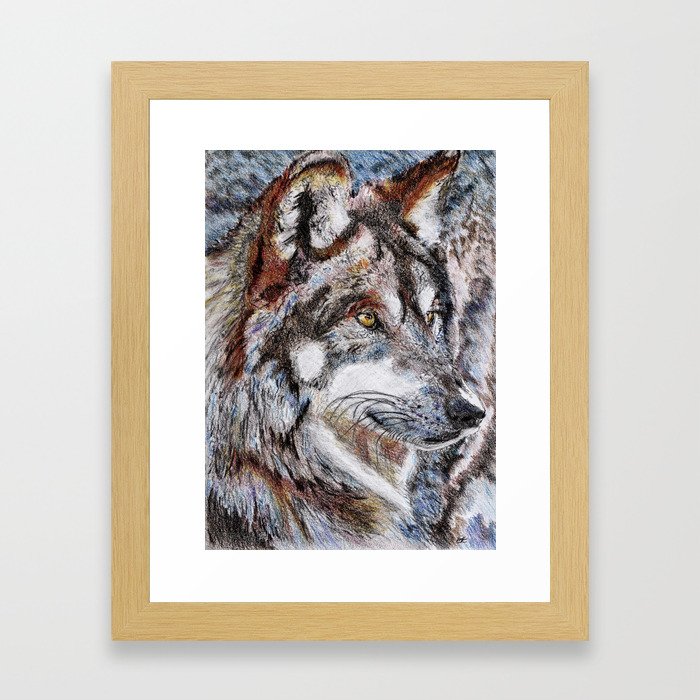 Gray Wolf Watches and Waits Framed Art Print