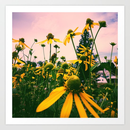Wild Abandon Art Print