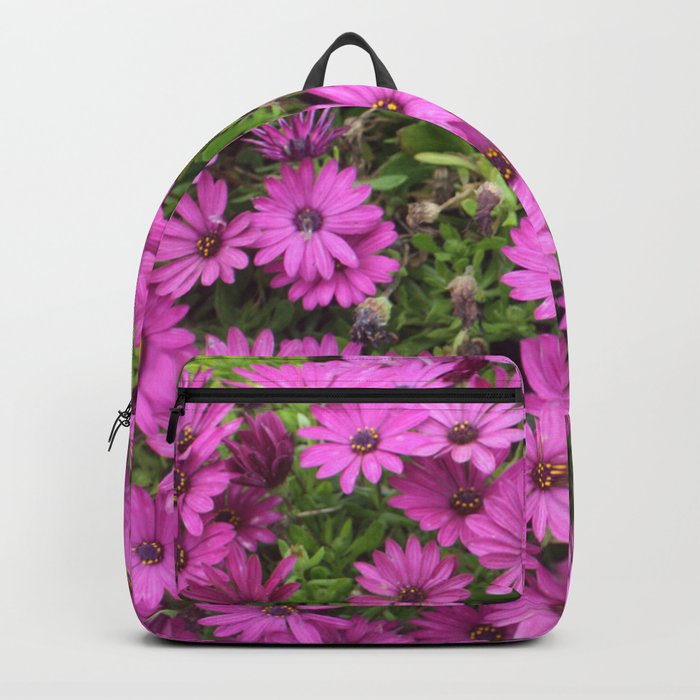 Beautiful Purple Cape Daisies Backpack