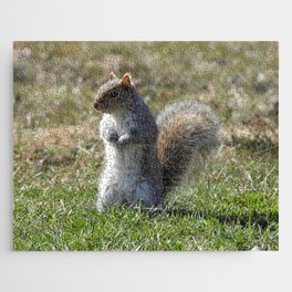Wildlife photography, Eastern Gray Squirrel, nature Jigsaw Puzzle