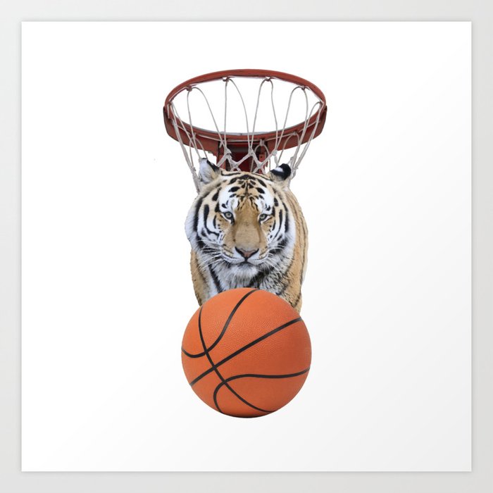 Sports Basket Ball Tiger Wild Animals  Art Print