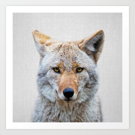 Coyote - Colorful Art Print