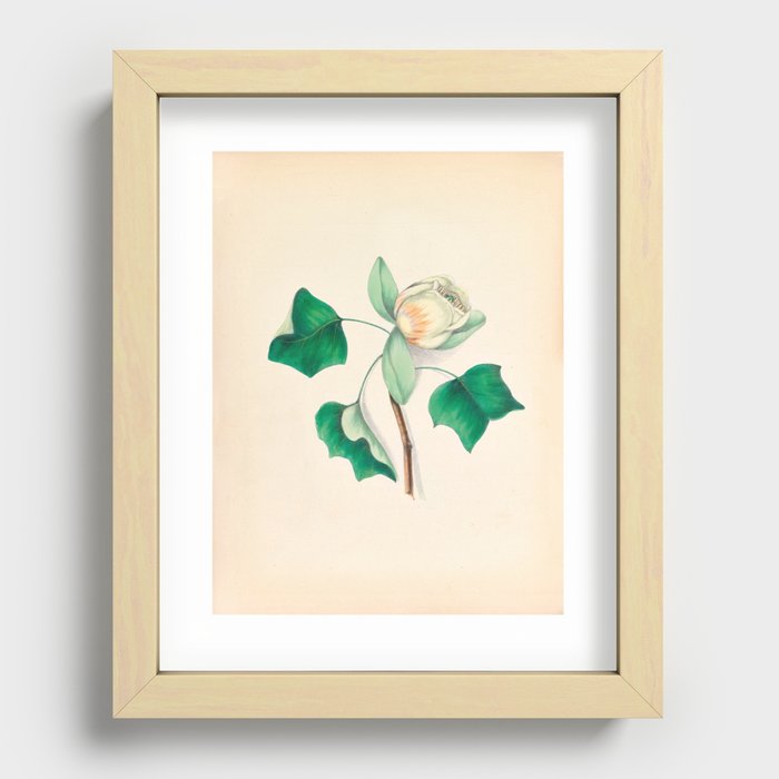 Recessed Framed Print