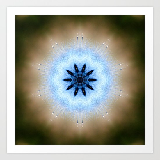 Focus Art Print
