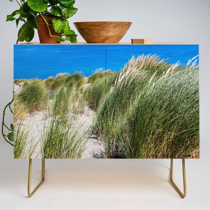 Hoek van Holland dunes grass Credenza