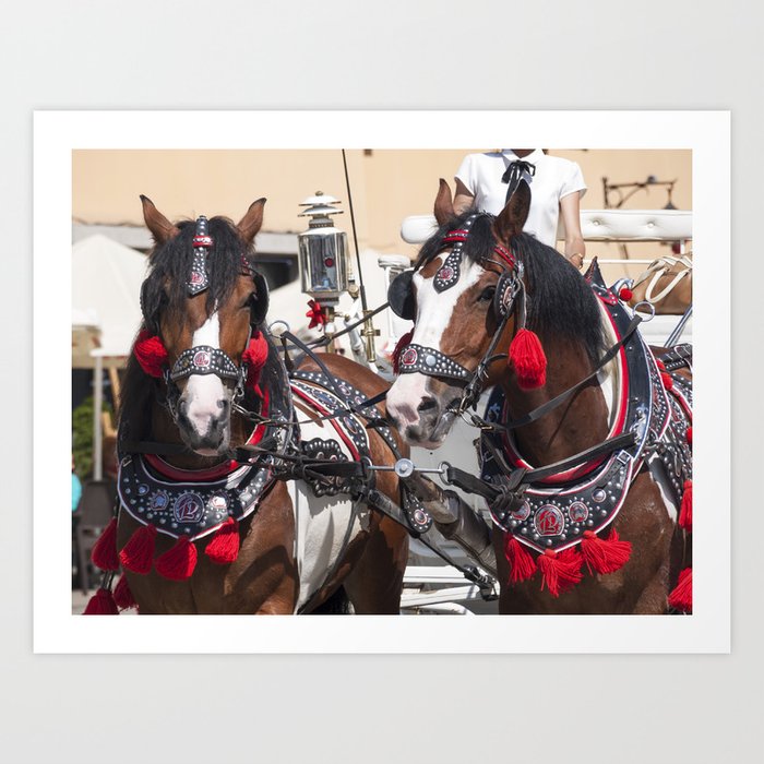 Two horses with traditional carriage for tourists in Krakow on the market square. Cabman in the back Art Print