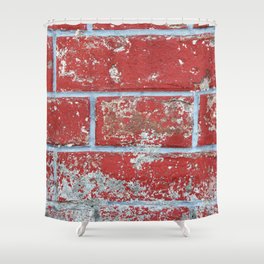 Texture background surface wallpaper red blue brick Shower Curtain