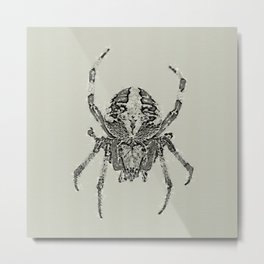 Spider Metal Print