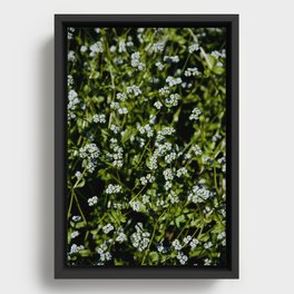 New Bloom Floral Series Framed Canvas