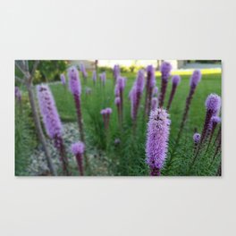 Flowers of Spring Canvas Print