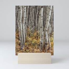 Wiggly Aspen in Autumn Mini Art Print