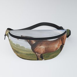 A Clydesdale Stallion Fanny Pack
