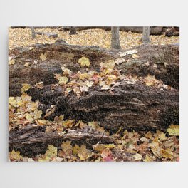 Forest Floor in the Fall Jigsaw Puzzle