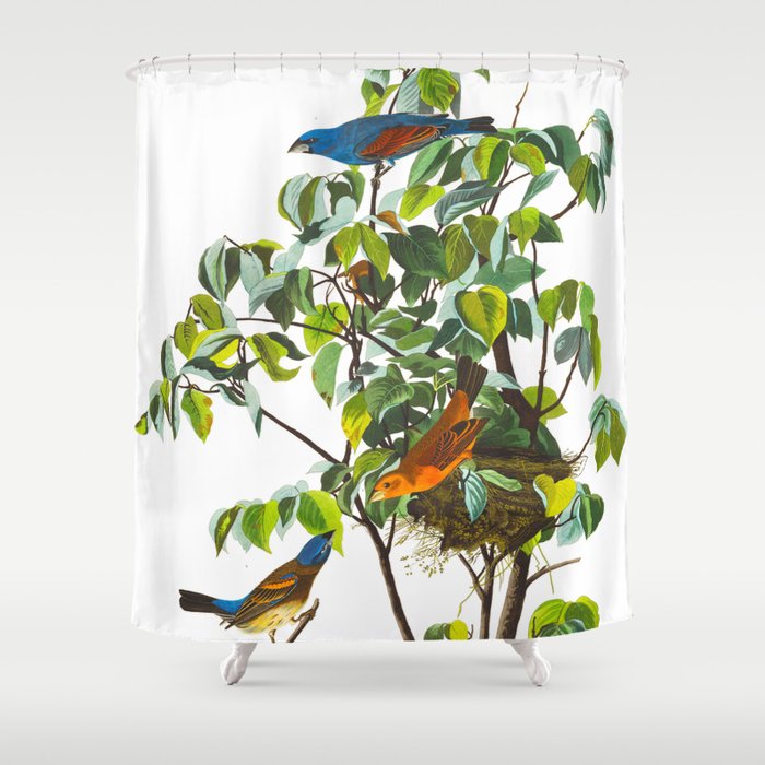 Blue Grosbeak Bird Shower Curtain