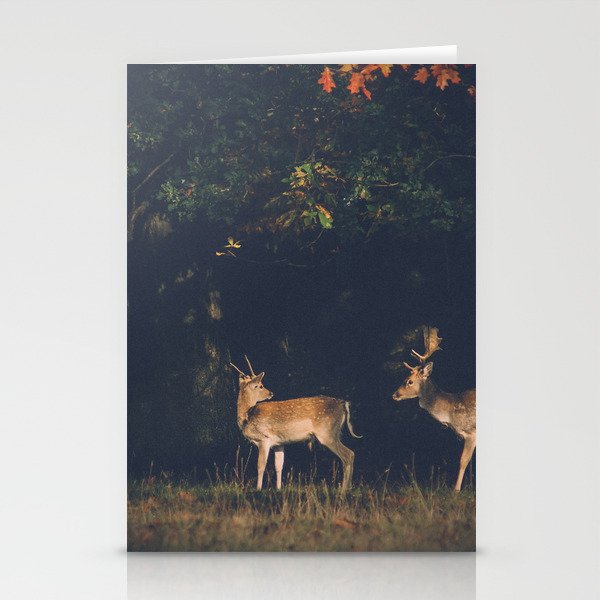 Wandering pair Stationery Cards