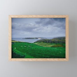 A field in Scotland 2 Framed Mini Art Print