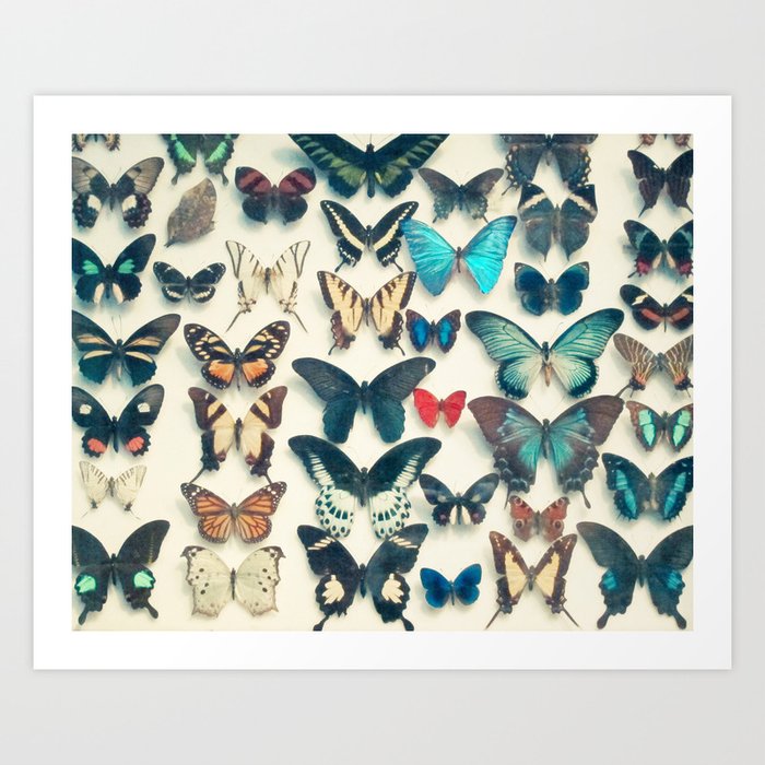 Wings Art Print