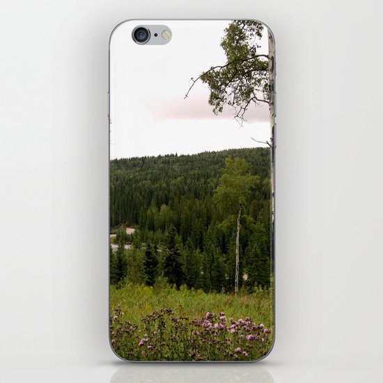 Spring in WaterValley iPhone & iPod Skin