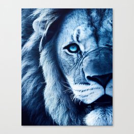 Snow Lion Canvas Print