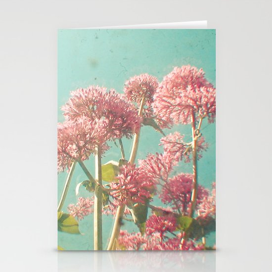 Pink Milkweed Stationery Cards