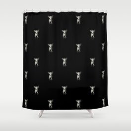 Chihuahua dog  Shower Curtain