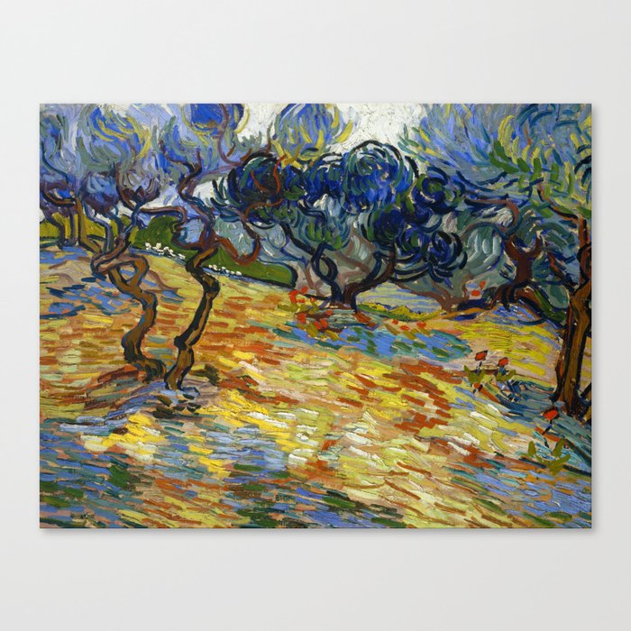 Vincent Van Gogh "Olive Trees" Canvas Print