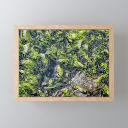 Green closeup Framed Mini Art Print