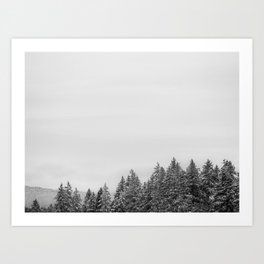 Snow Dusted Trees Nature Photography Art Print