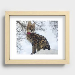 Serval Recessed Framed Print