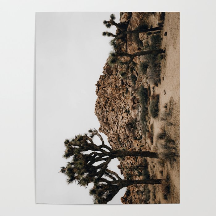 Joshua Tree / California Desert Poster