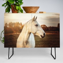 White Horse - Farmhouse - Equine -Photograph Credenza