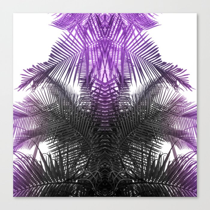 purple gray fern Canvas Print