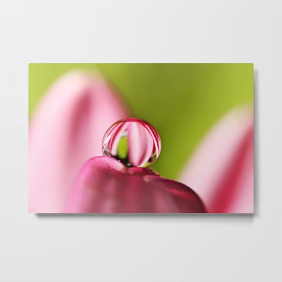 Candy Stripe with Green Metal Print