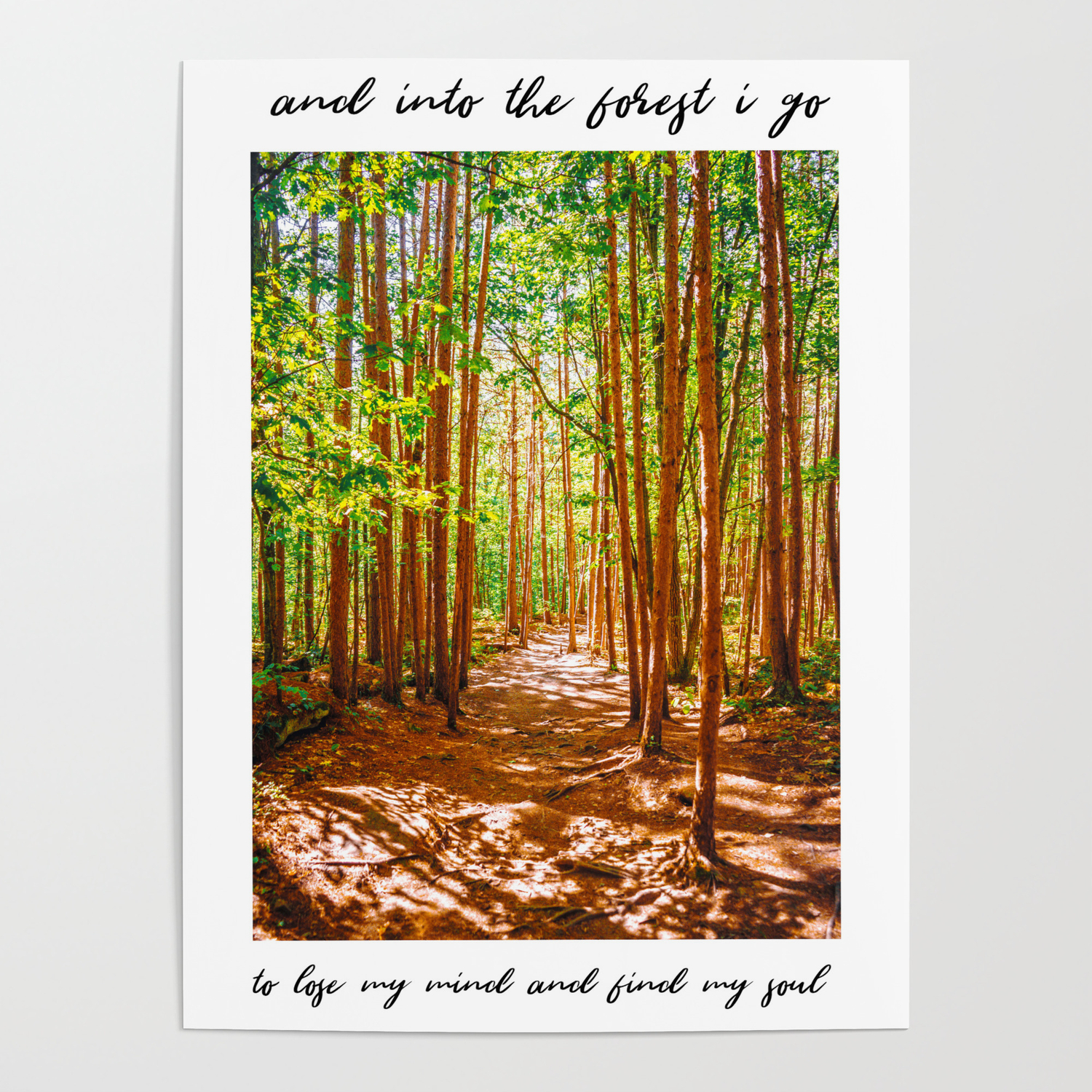 John Muir-And Into The Forest I Go To Lose My Mind And Find My Soul Poster By Anthony Londer | Society6