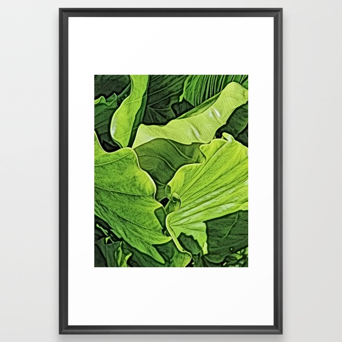 Giant Taro Leaves Framed Art Print