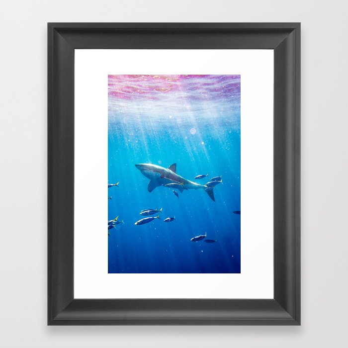 Great White Shark-6 Framed Art Print