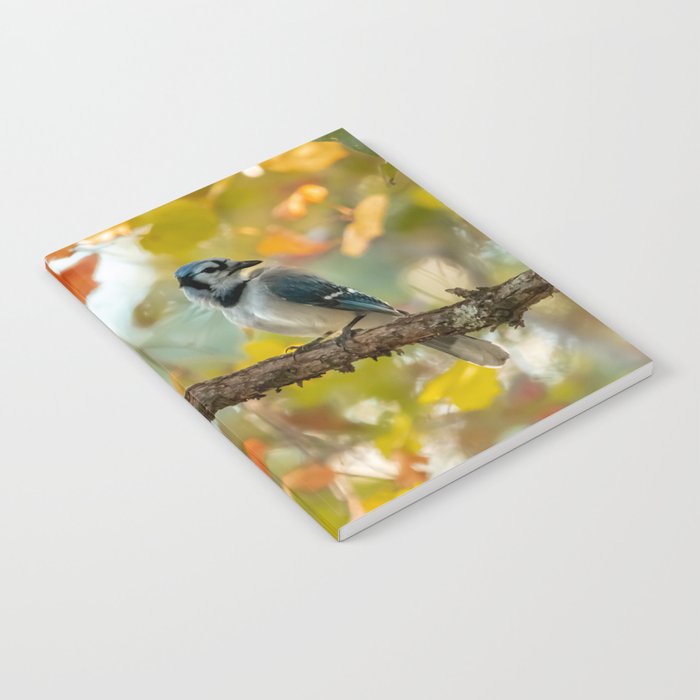 Blue Jay in the Fall Notebook