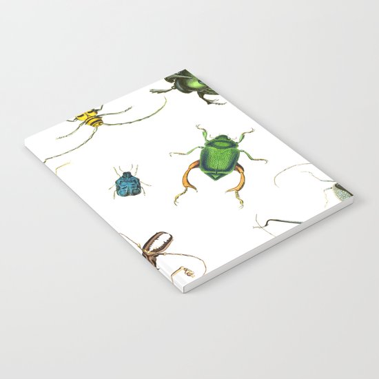Bug Life - Beetles - Bugs - Insects - Colorful - Insect Pattern Notebook