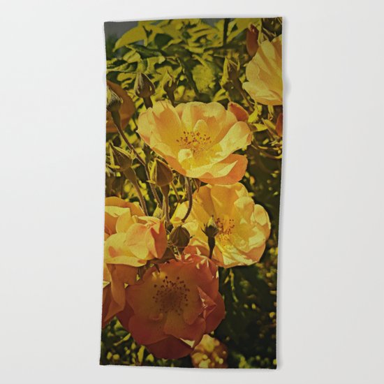 Vintage Climbing Roses Beach Towel