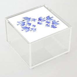 Flight_blue Acrylic Box