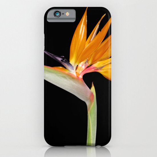 Birds of Paradise Flower iPhone & iPod Case
