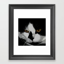 Black white cat II Framed Art Print