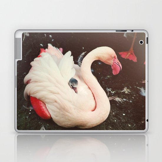Peek-a-boo Laptop & iPad Skin