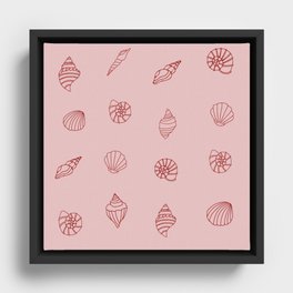 shells Framed Canvas