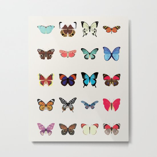 Butterflies Metal Print