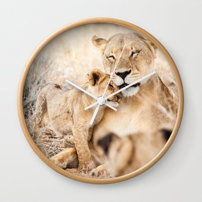 Lioness and a cub cuddling together; fine art travel photo Wall Clock