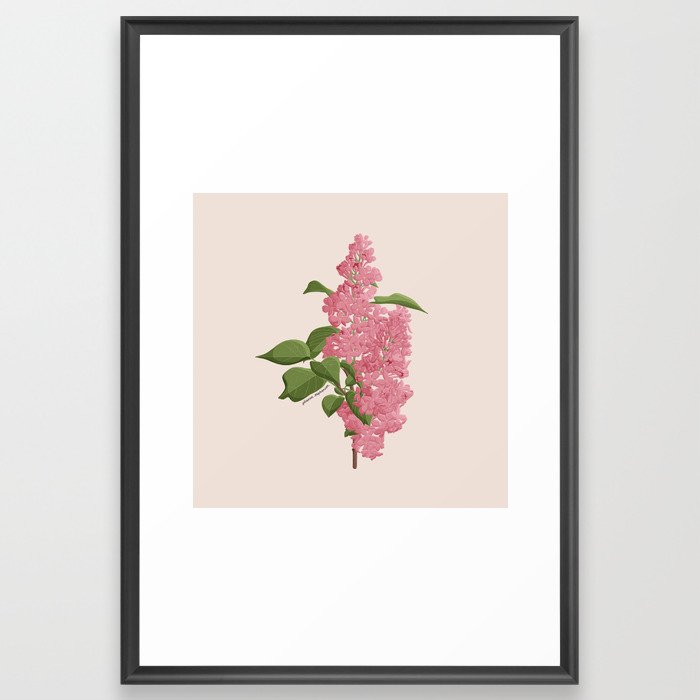 Lilac Framed Art Print