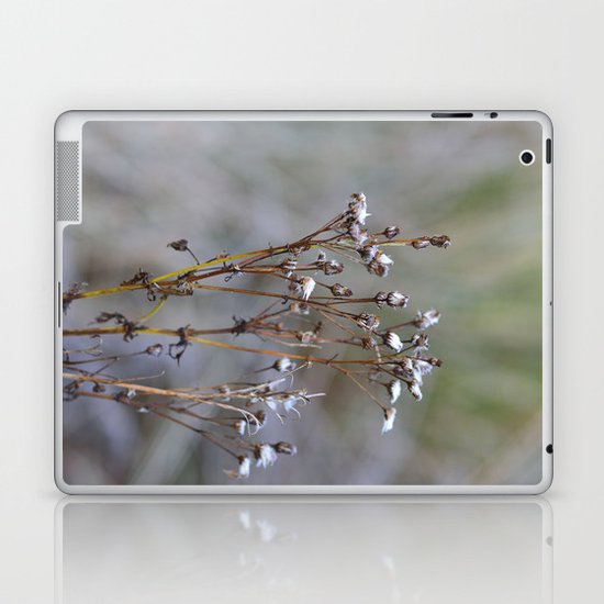 Frosty Seeds Laptop & iPad Skin